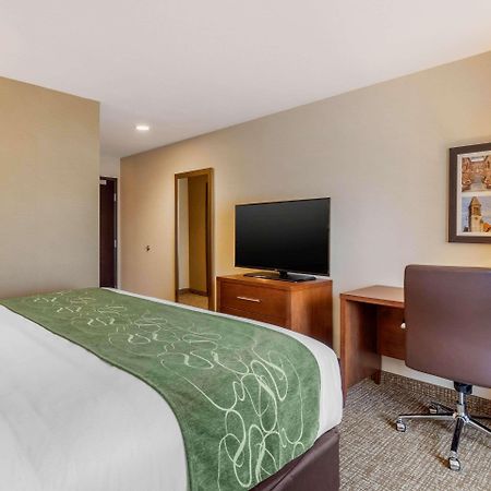 Comfort Inn & Suites Schenectady - Scotia Dış mekan fotoğraf