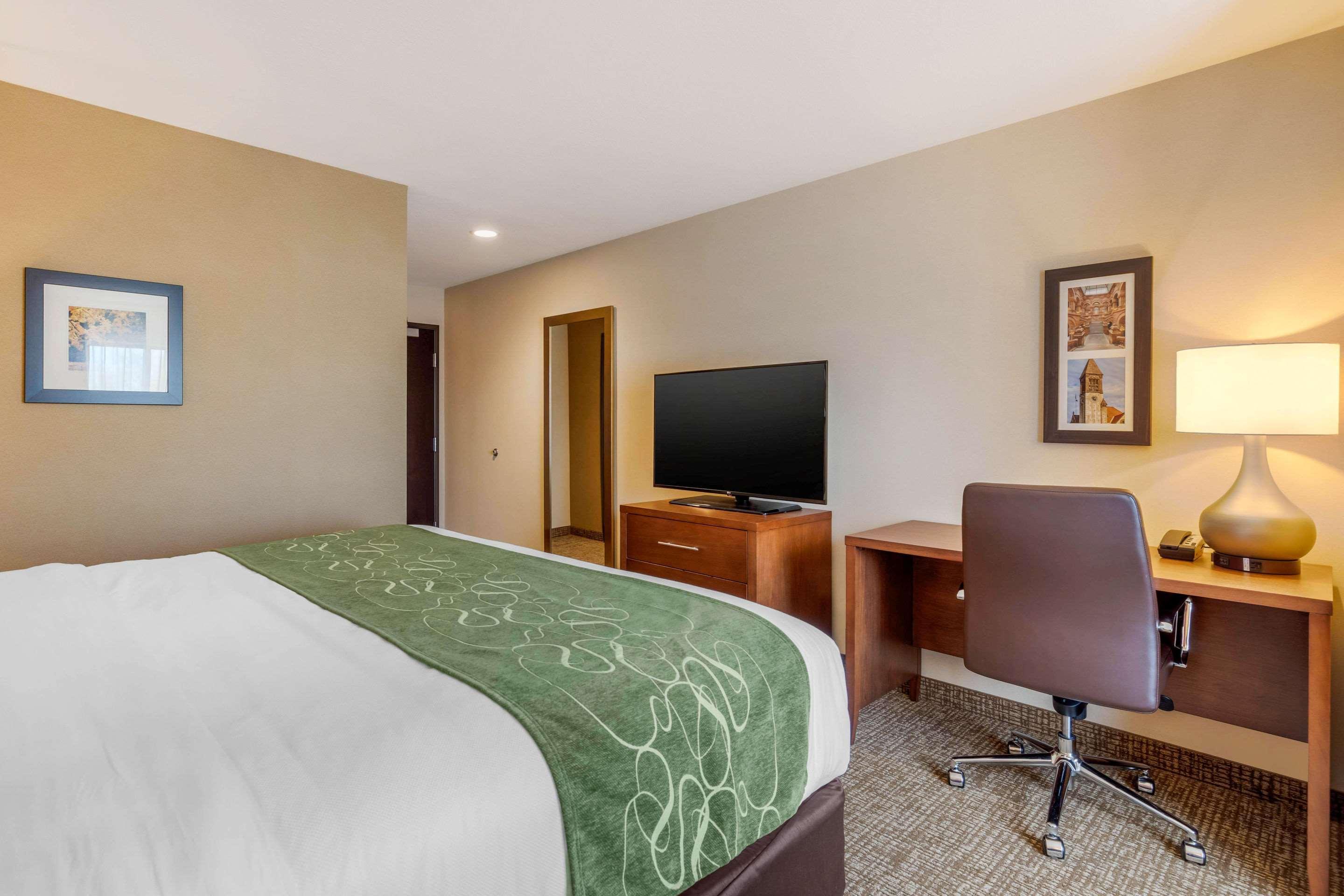 Comfort Inn & Suites Schenectady - Scotia Dış mekan fotoğraf