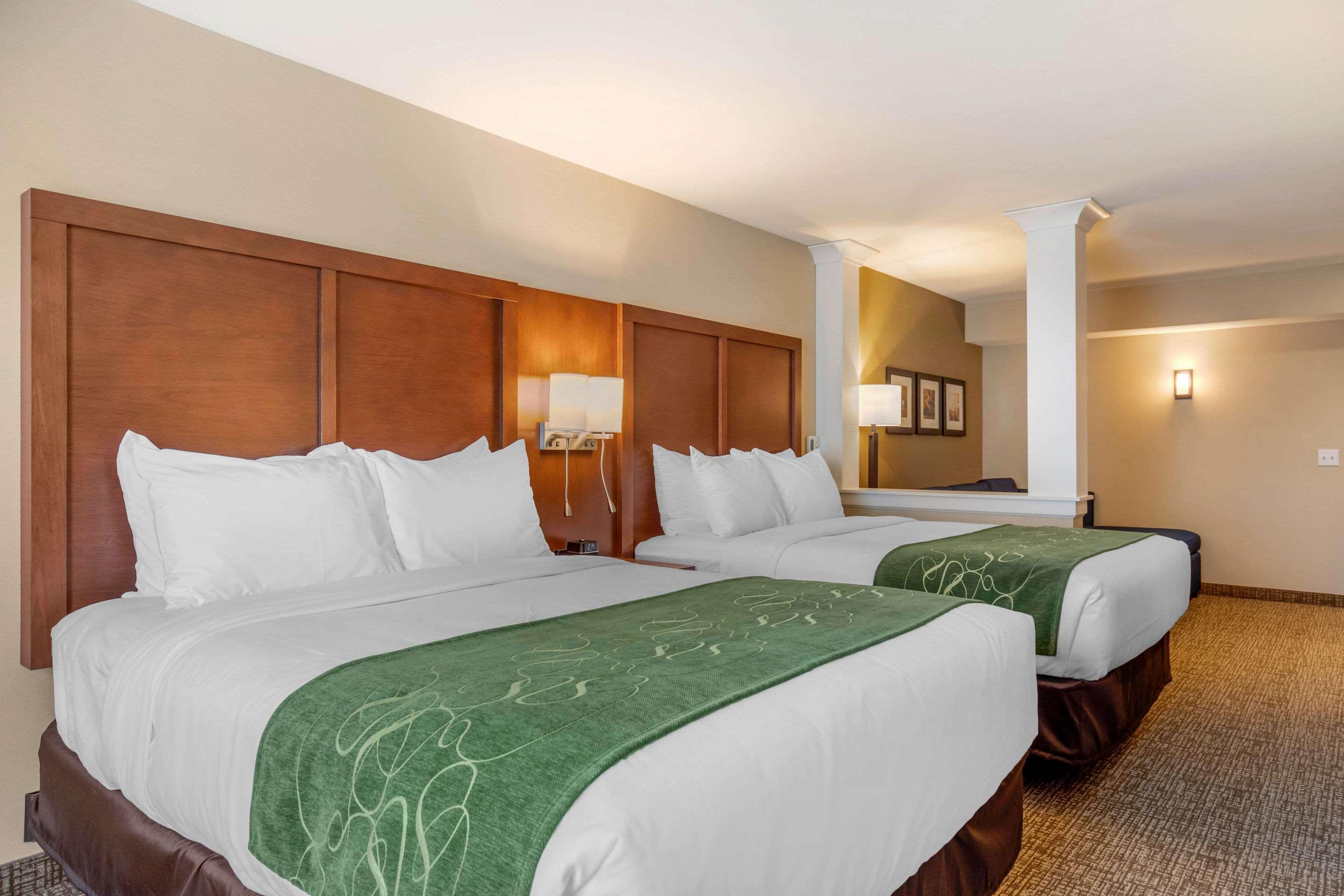 Comfort Inn & Suites Schenectady - Scotia Dış mekan fotoğraf