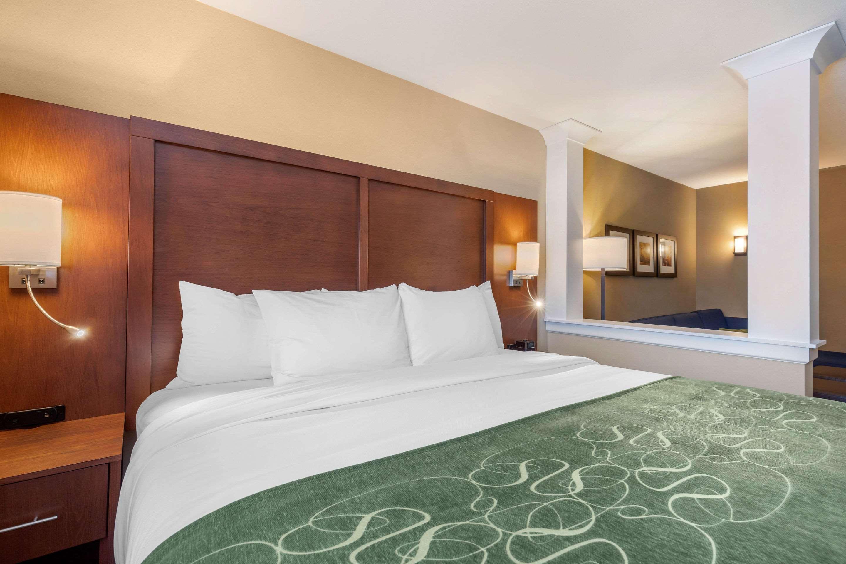 Comfort Inn & Suites Schenectady - Scotia Dış mekan fotoğraf