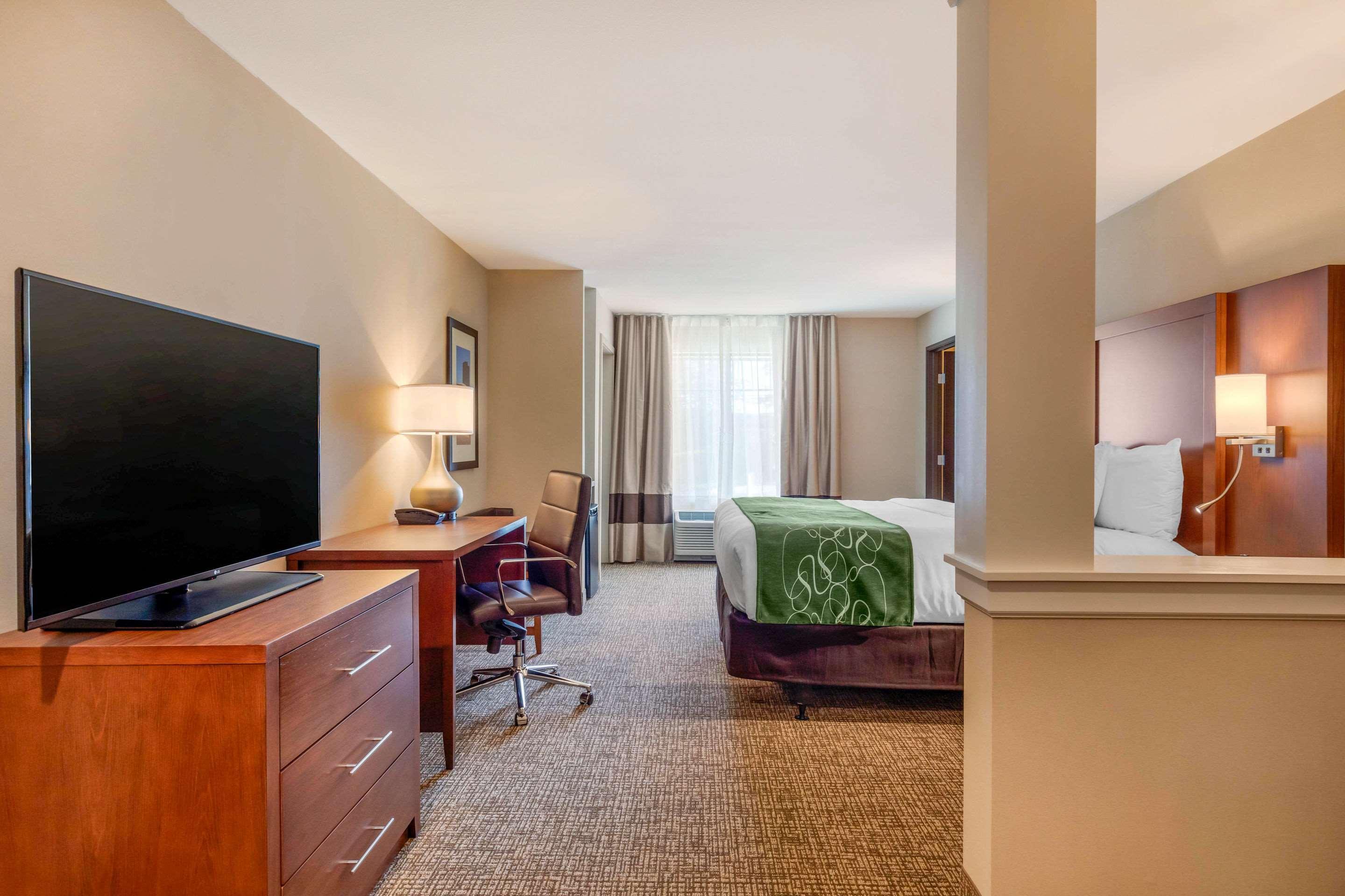 Comfort Inn & Suites Schenectady - Scotia Dış mekan fotoğraf