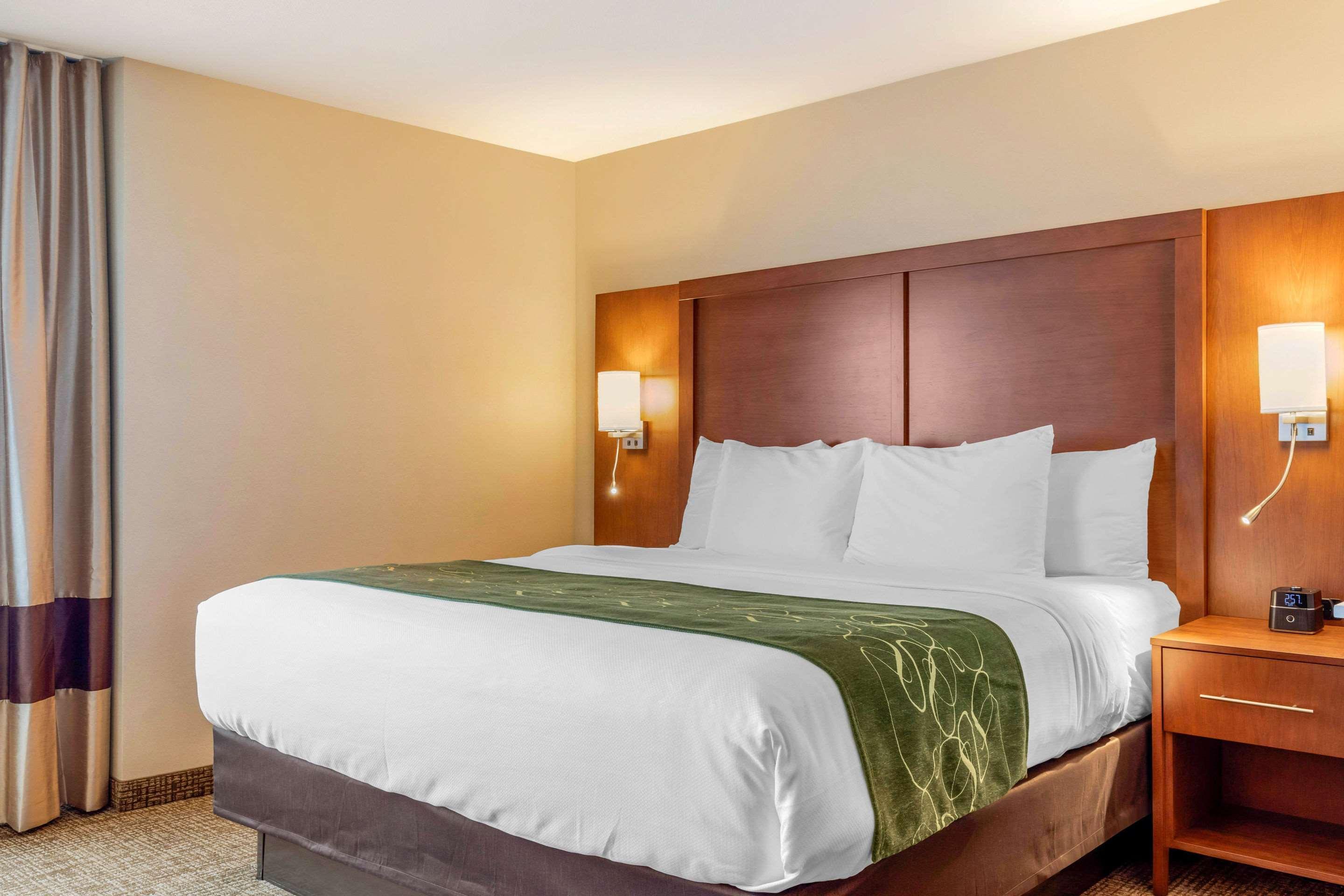 Comfort Inn & Suites Schenectady - Scotia Dış mekan fotoğraf