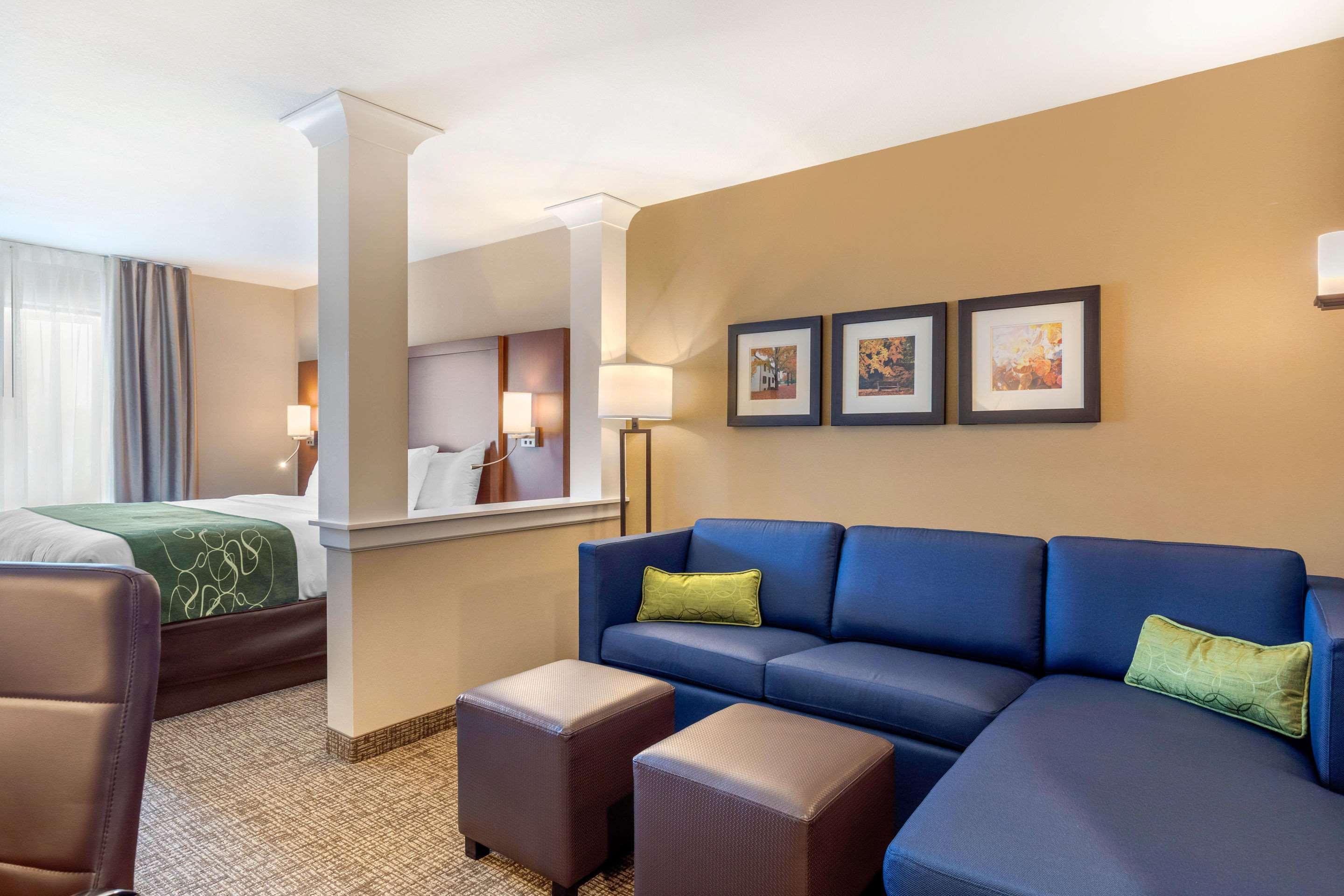 Comfort Inn & Suites Schenectady - Scotia Dış mekan fotoğraf
