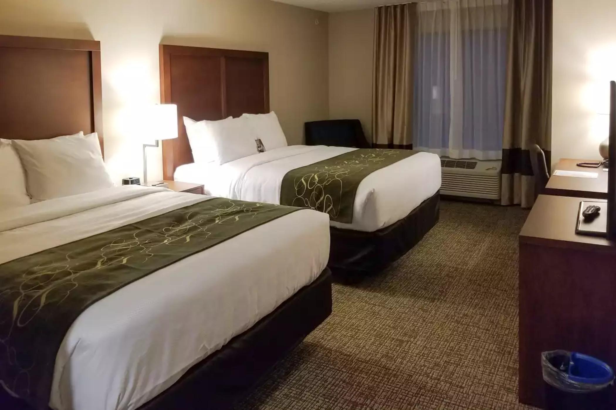Comfort Inn & Suites Schenectady - Scotia Dış mekan fotoğraf