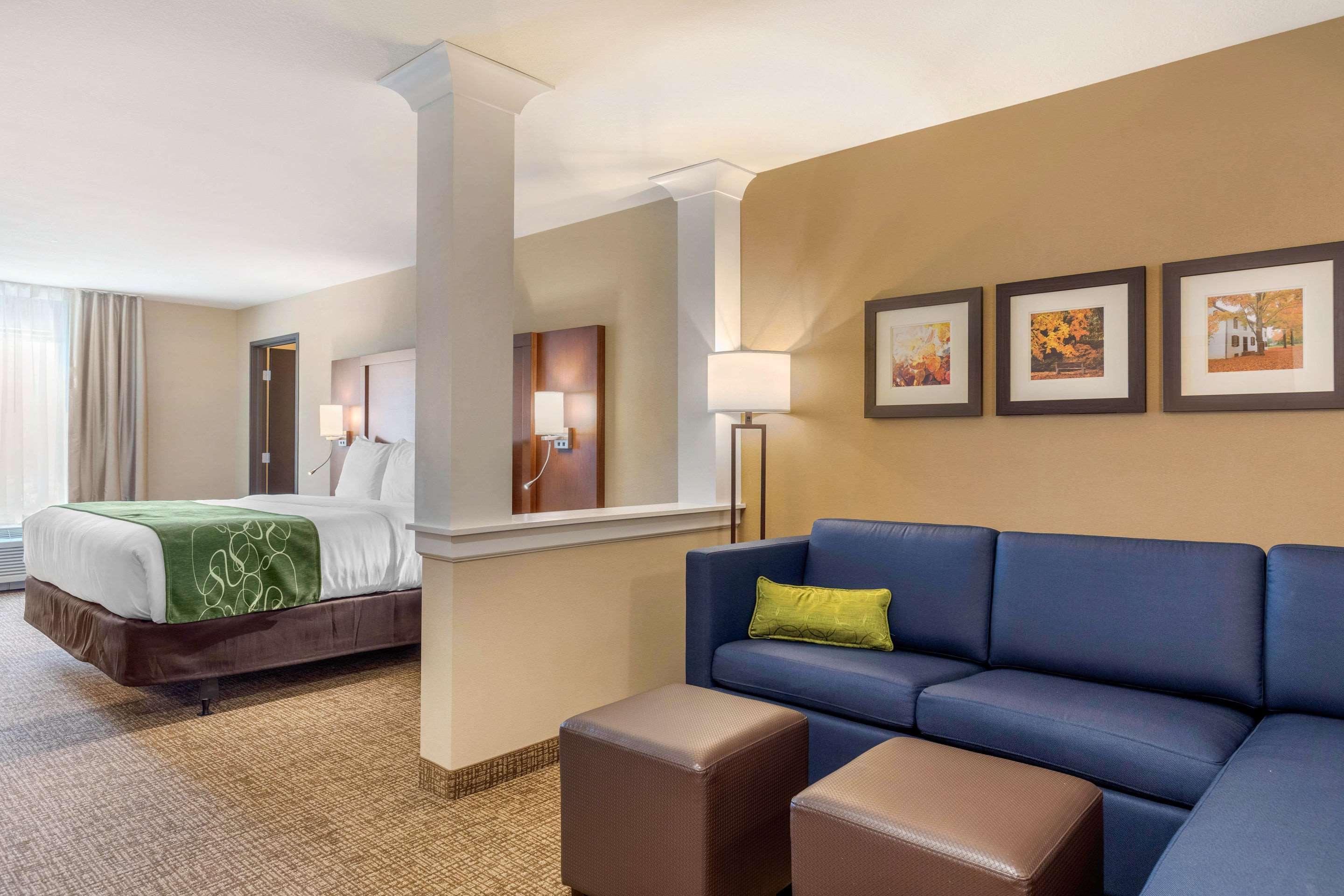 Comfort Inn & Suites Schenectady - Scotia Dış mekan fotoğraf
