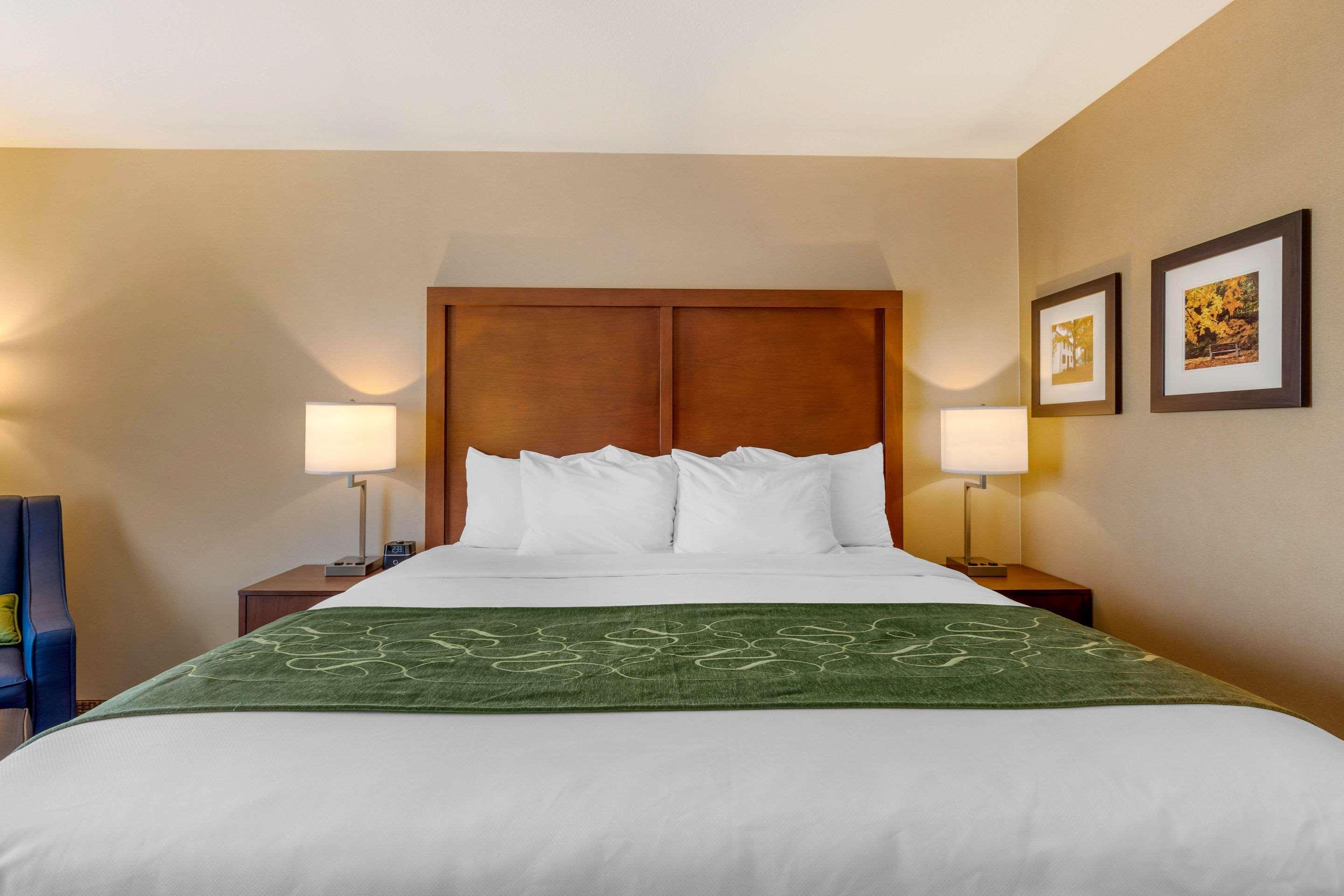 Comfort Inn & Suites Schenectady - Scotia Dış mekan fotoğraf