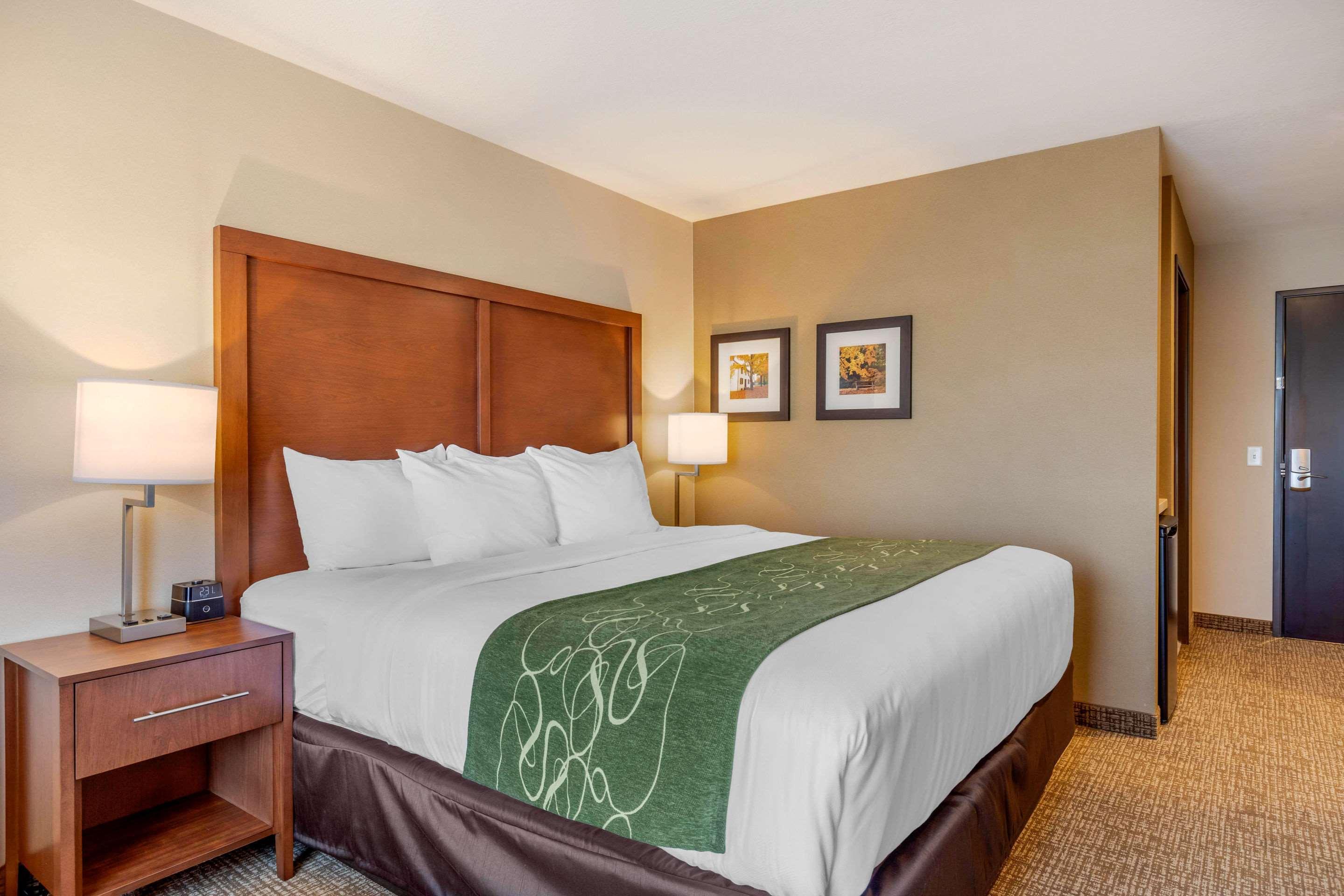 Comfort Inn & Suites Schenectady - Scotia Dış mekan fotoğraf