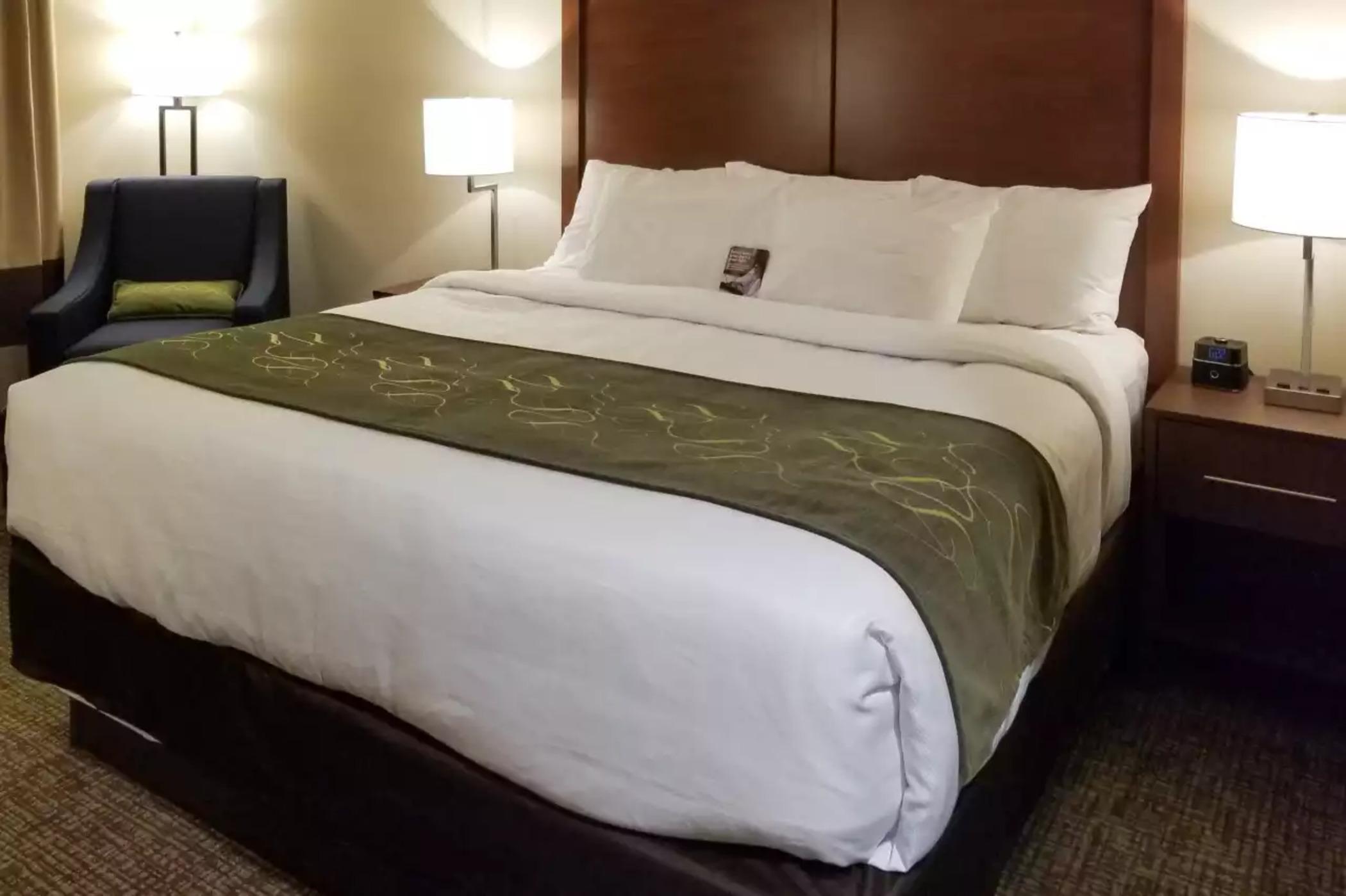 Comfort Inn & Suites Schenectady - Scotia Dış mekan fotoğraf