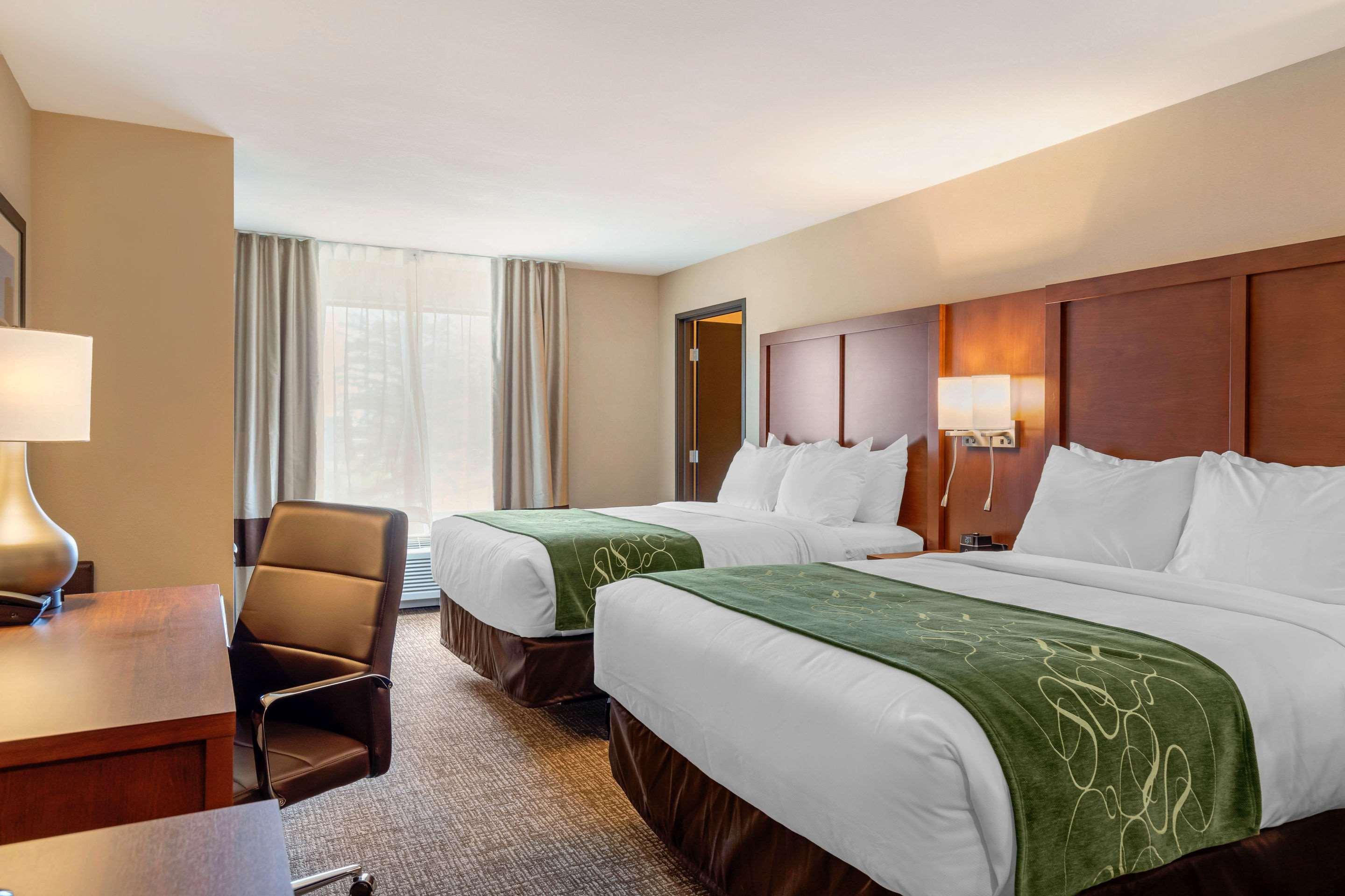 Comfort Inn & Suites Schenectady - Scotia Dış mekan fotoğraf