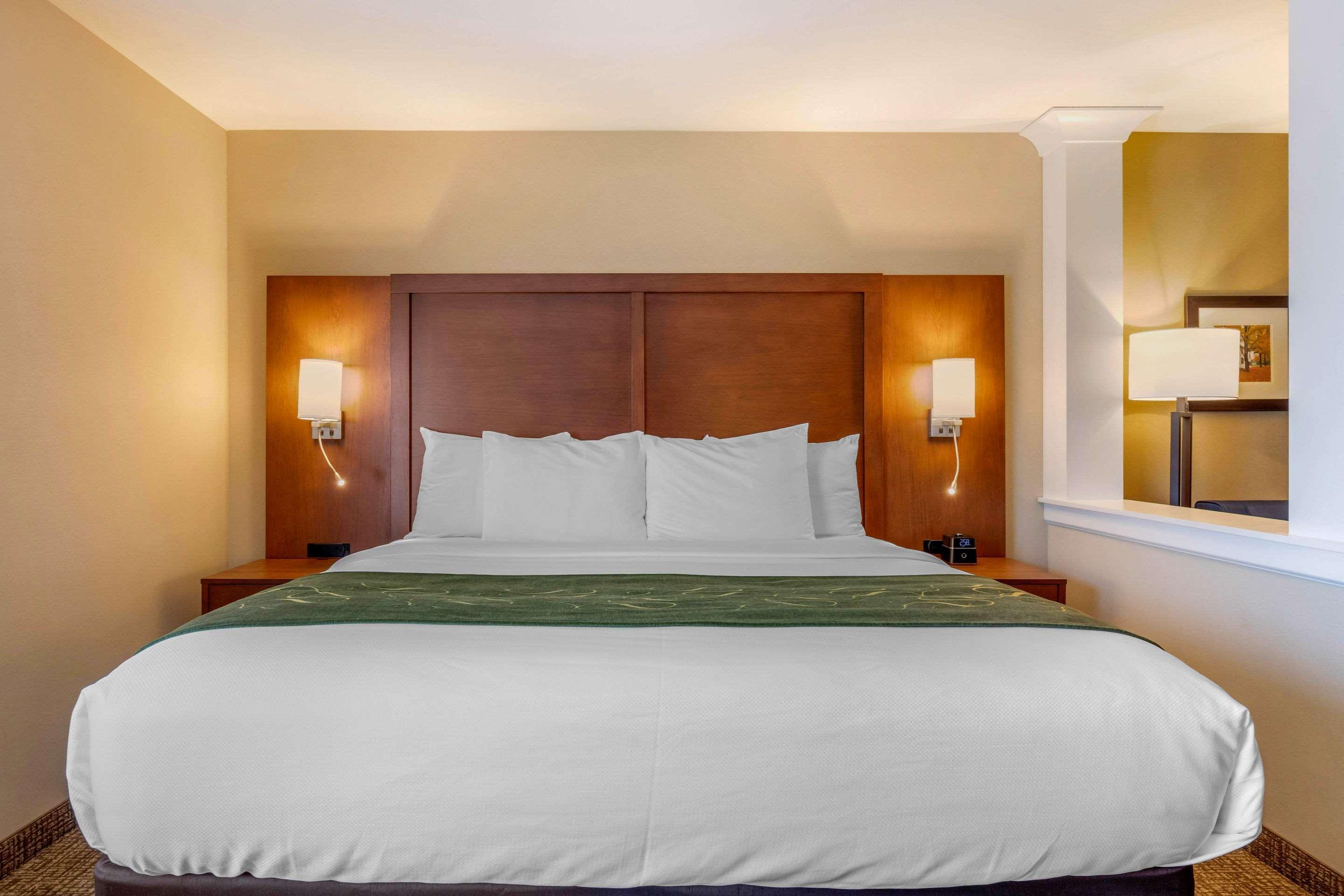Comfort Inn & Suites Schenectady - Scotia Dış mekan fotoğraf