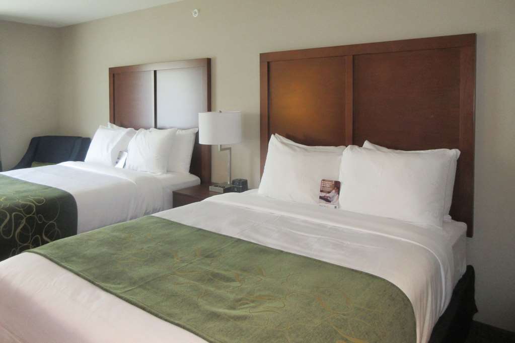 Comfort Inn & Suites Schenectady - Scotia Oda fotoğraf